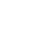 LIGHT icon white